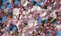 2017-03-25  16-19-10  A ji