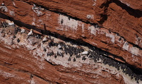 2025-05-11  11-08-48  A ji