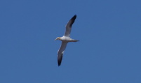 2025-05-11  11-09-29  T ji